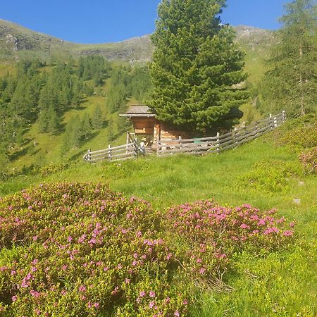 Ferienwohnung Aignerhof Schellgaden Luaran gambar