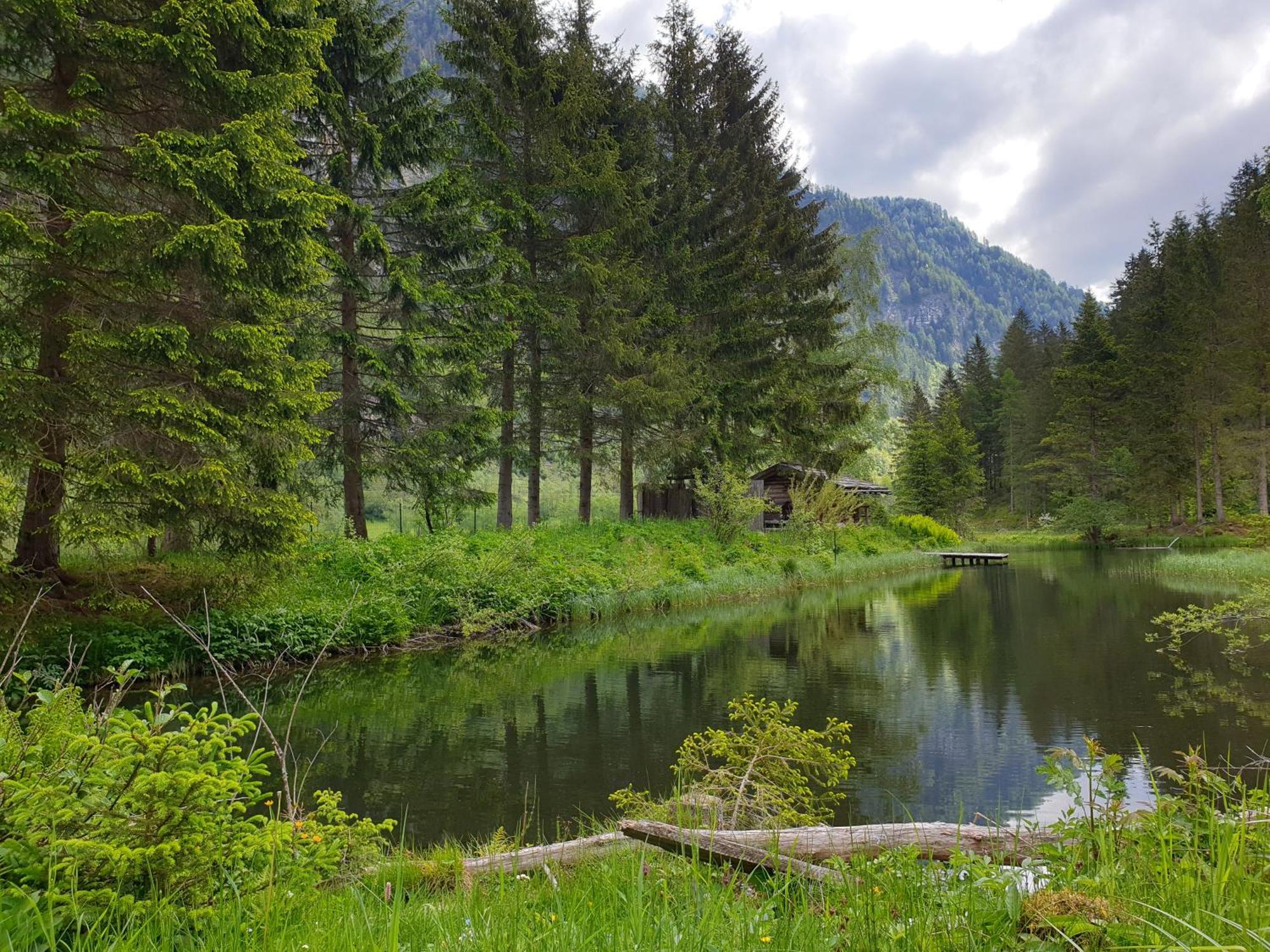 Ferienwohnung Aignerhof Schellgaden Luaran gambar